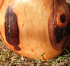 Dsc-1223-2_thumbnail