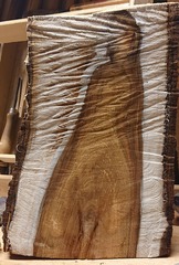 Dsc-1900-kt2_thumbnail