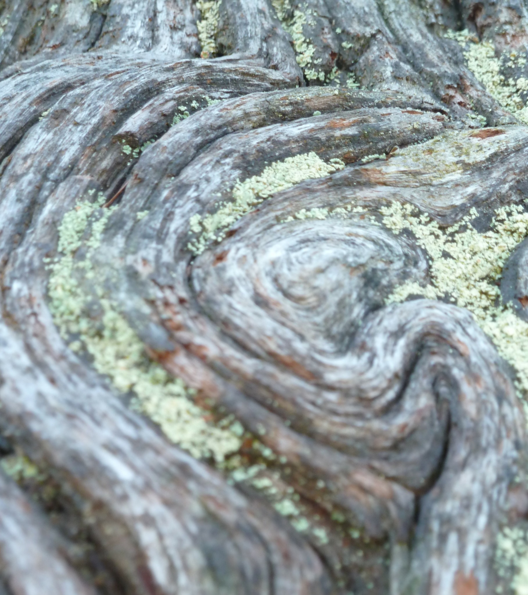 Lebens-weg-begleitung1